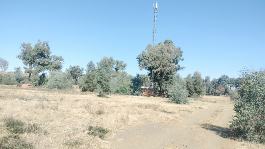  Bedroom Property for Sale in Dewetsdorp Free State